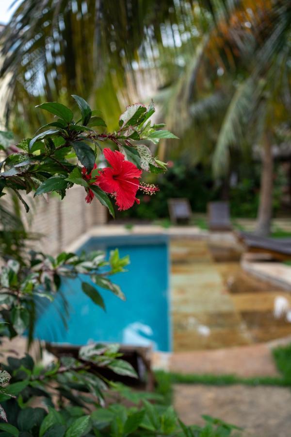 Hotel Casa Fufi Jijoca de Jericoacoara Esterno foto
